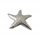 Pendente Metal Estrela do Mar - Prateado (68mm)